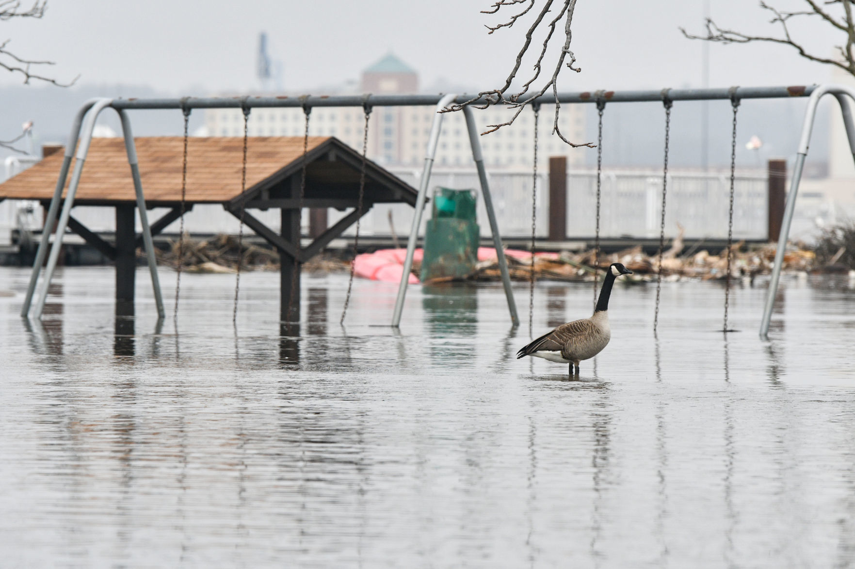River Drive flooding in Moline